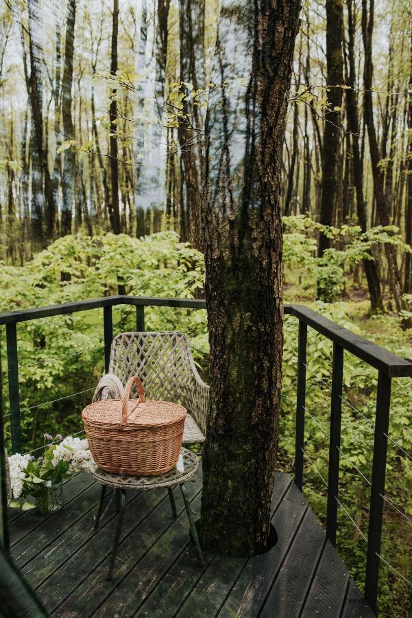 Dziki Las - Domki Na Drzewach Miłomłyn Bagian luar foto