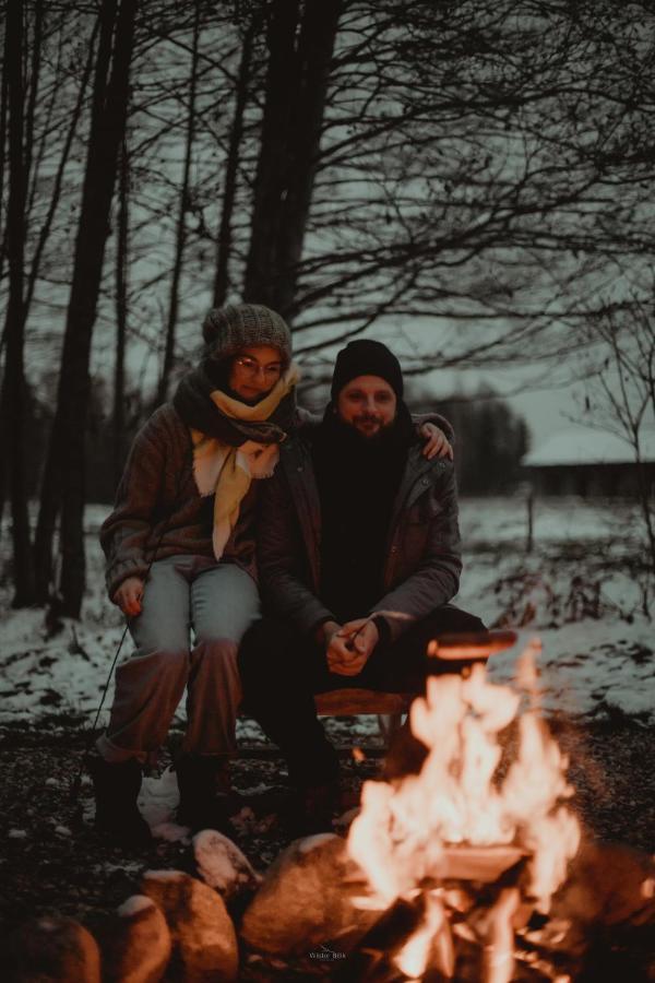 Dziki Las - Domki Na Drzewach Miłomłyn Bagian luar foto