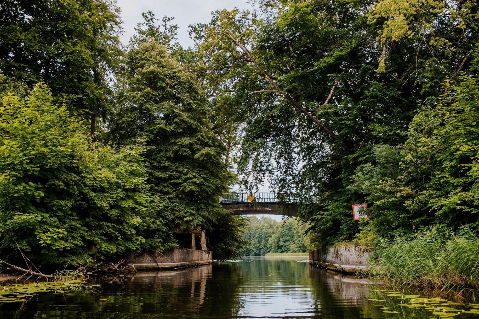 Dziki Las - Domki Na Drzewach Miłomłyn Bagian luar foto