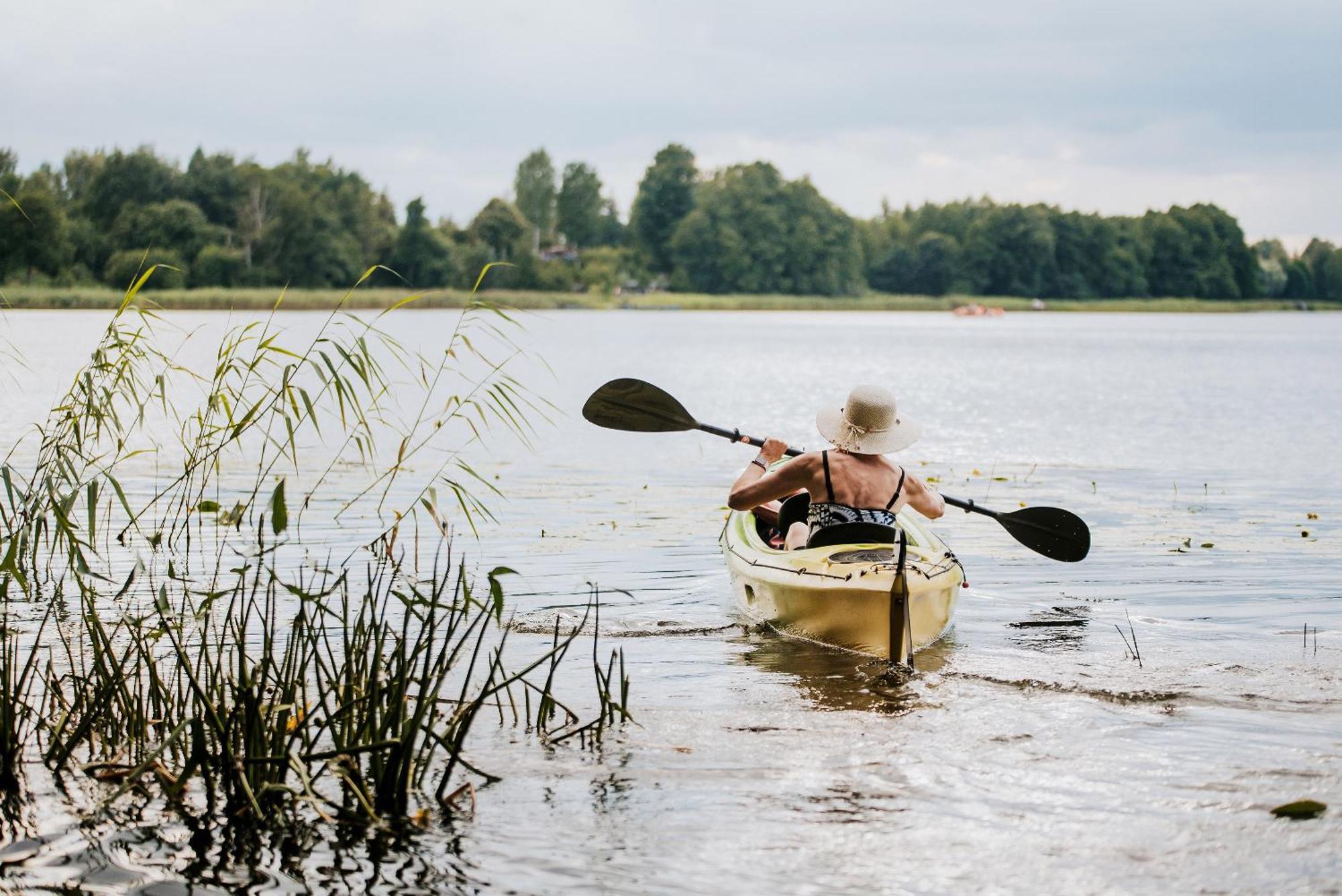 Dziki Las - Domki Na Drzewach Miłomłyn Bagian luar foto